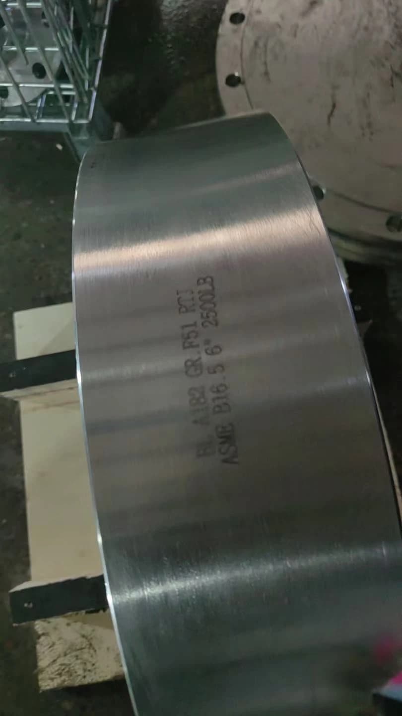 A182 GR. F51 RTJ RF ASME B16.5 6 6-инчов сляп фланец 4